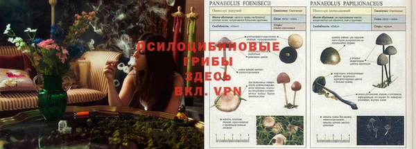 прущие крисы Алексин
