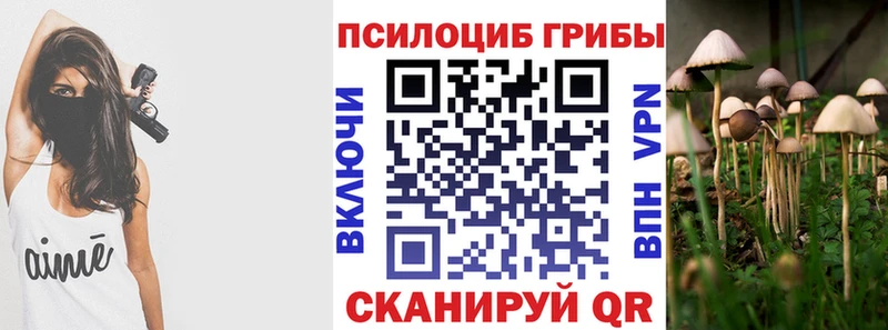 Псилоцибиновые грибы Magic Shrooms цены Заволжск