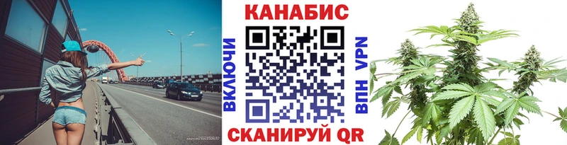Канабис сатива  Заволжск 